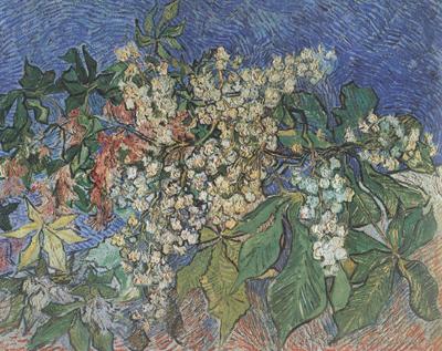 Vincent Van Gogh Blossoming Chestnut Branches (nn04) oil painting image